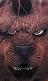 Red XIII in FF7 Advent Children