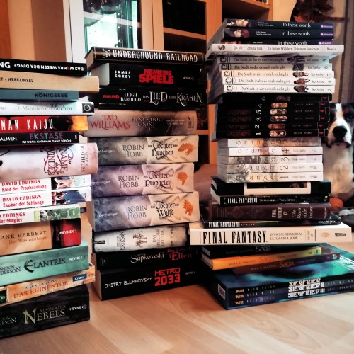 Bücherstapel Auswahl Lesejahr 2020 mit Hund